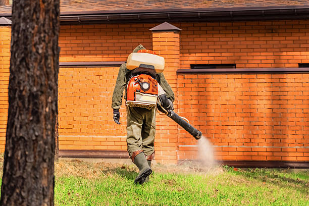 Trusted Mosquito Control service in Citrus Hills, FL - Nex Pest Control